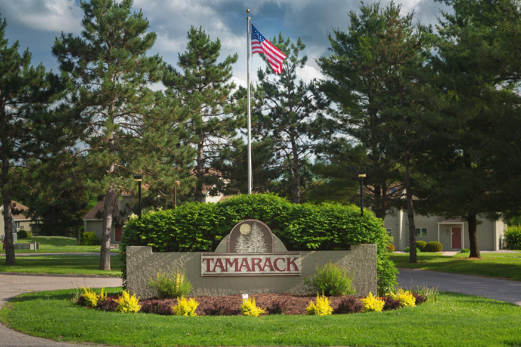 Tamarack Wisconsin Dells, A Ramada By Wyndham Hotel Екстериор снимка